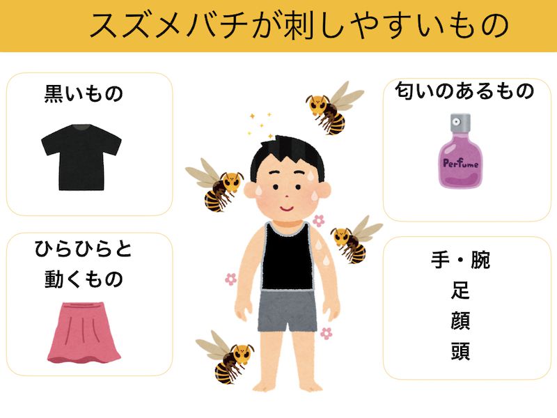 スズメバチがよく攻撃する服装と匂い