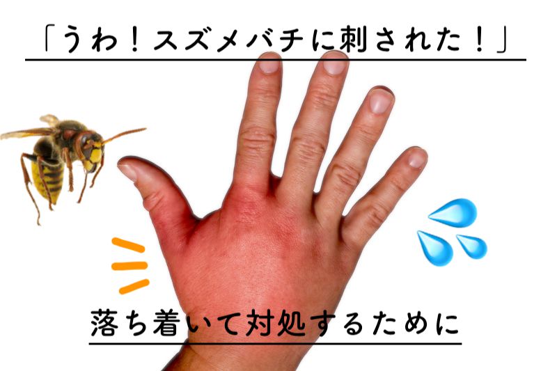 【緊急】スズメバチに刺された時の対処法&予防法【応急処置5手順】